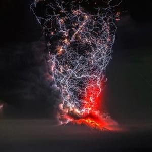 Meet your Posher, Samuel